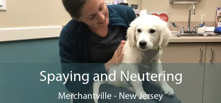 Spaying and Neutering Merchantville - New Jersey