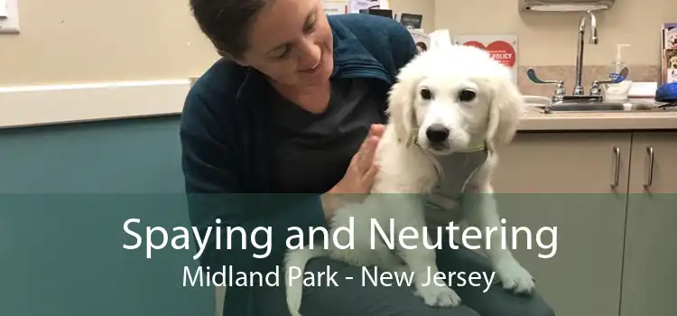 Spaying and Neutering Midland Park - New Jersey