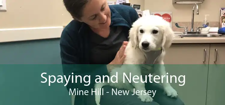 Spaying and Neutering Mine Hill - New Jersey