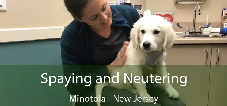 Spaying and Neutering Minotola - New Jersey