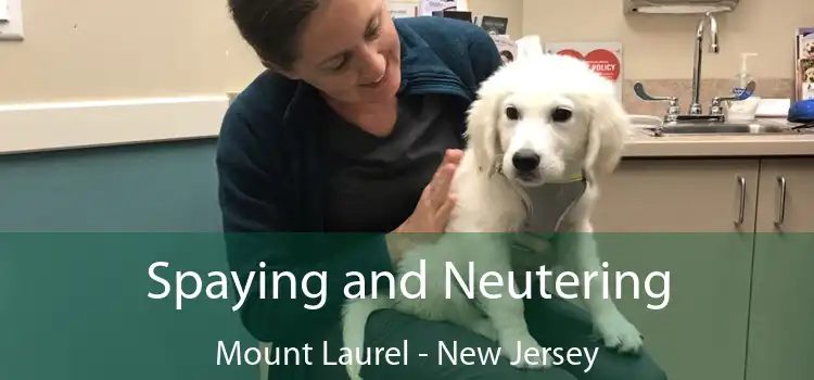 Spaying and Neutering Mount Laurel - New Jersey