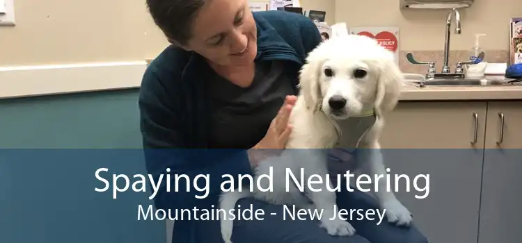 Spaying and Neutering Mountainside - New Jersey