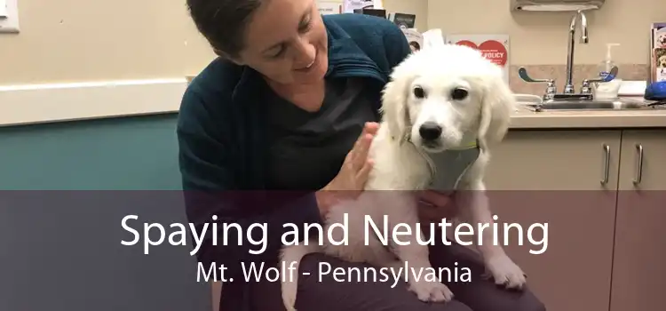 Spaying and Neutering Mt. Wolf - Pennsylvania