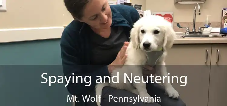 Spaying and Neutering Mt. Wolf - Pennsylvania
