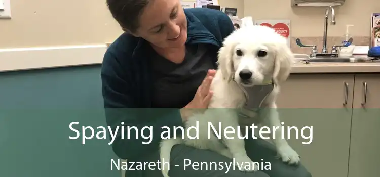 Spaying and Neutering Nazareth - Pennsylvania