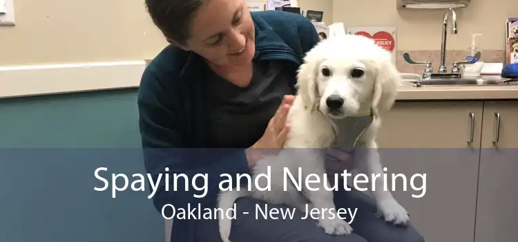 Spaying and Neutering Oakland - New Jersey