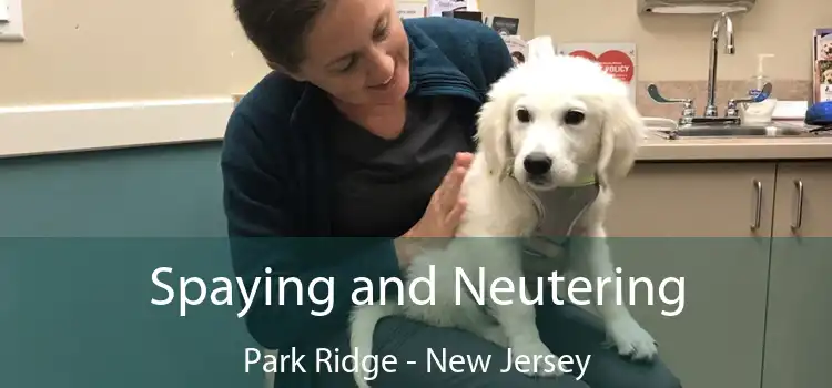 Spaying and Neutering Park Ridge - New Jersey