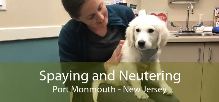 Spaying and Neutering Port Monmouth - New Jersey