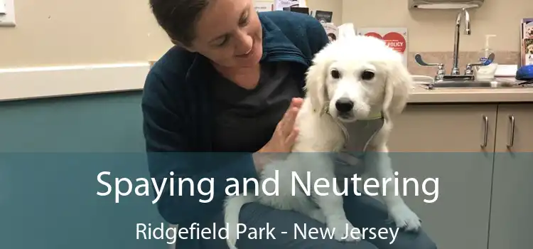 Spaying and Neutering Ridgefield Park - New Jersey