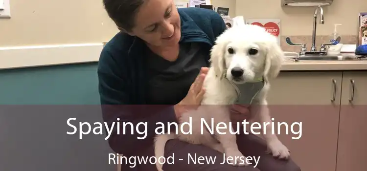 Spaying and Neutering Ringwood - New Jersey