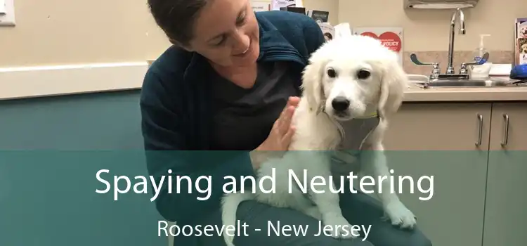 Spaying and Neutering Roosevelt - New Jersey