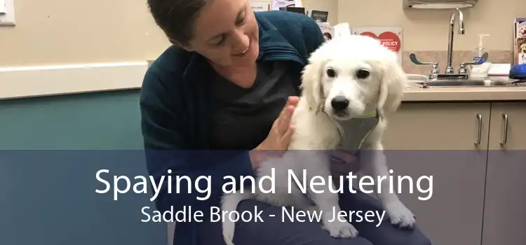 Spaying and Neutering Saddle Brook - New Jersey