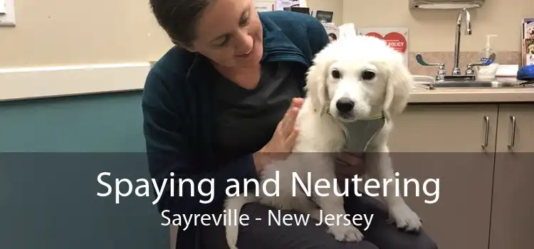 Spaying and Neutering Sayreville - New Jersey