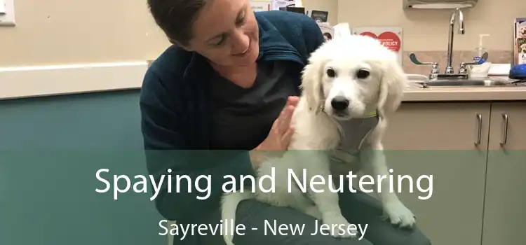 Spaying and Neutering Sayreville - New Jersey