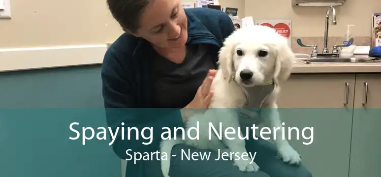 Spaying and Neutering Sparta - New Jersey