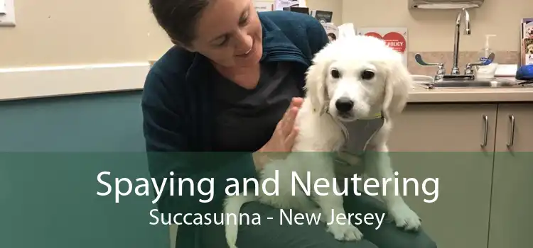 Spaying and Neutering Succasunna - New Jersey