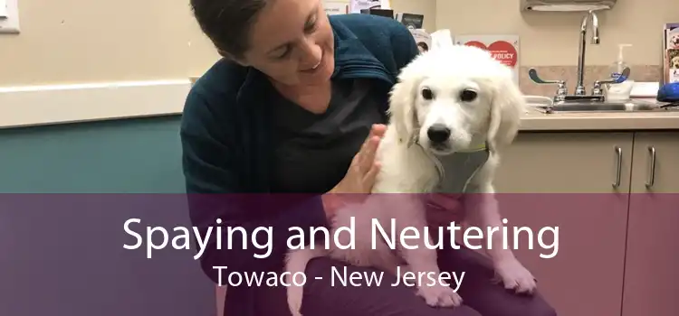 Spaying and Neutering Towaco - New Jersey