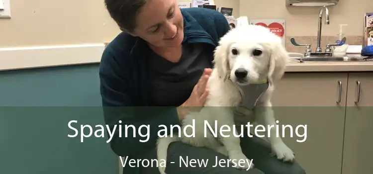 Spaying and Neutering Verona - New Jersey