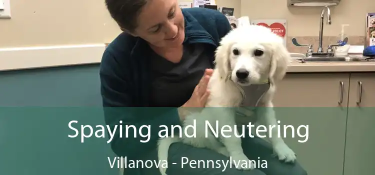 Spaying and Neutering Villanova - Pennsylvania