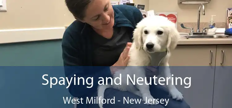 Spaying and Neutering West Milford - New Jersey