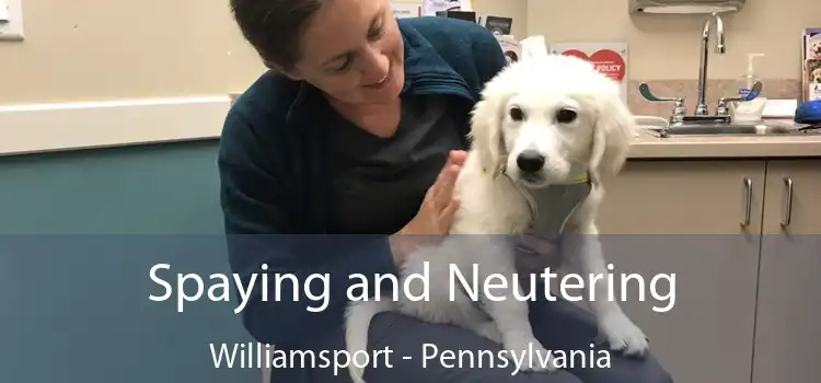 Spaying and Neutering Williamsport - Pennsylvania