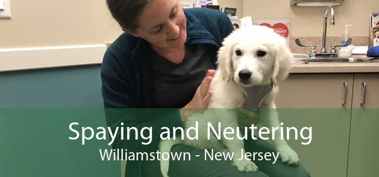 Spaying and Neutering Williamstown - New Jersey