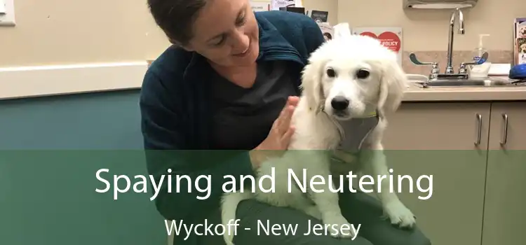 Spaying and Neutering Wyckoff - New Jersey