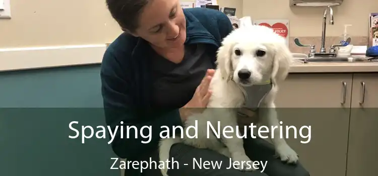 Spaying and Neutering Zarephath - New Jersey