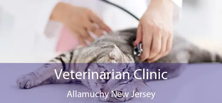 Veterinarian Clinic Allamuchy New Jersey