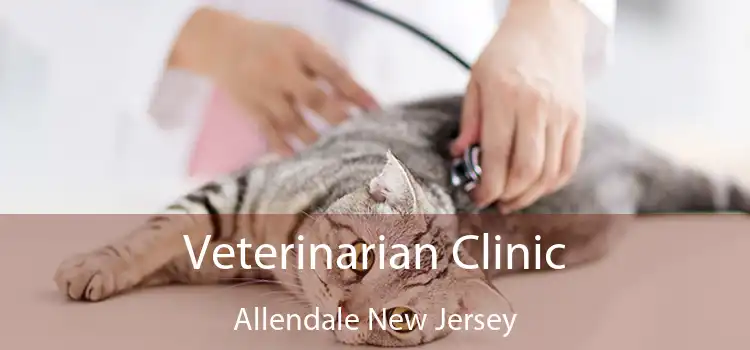 Veterinarian Clinic Allendale New Jersey