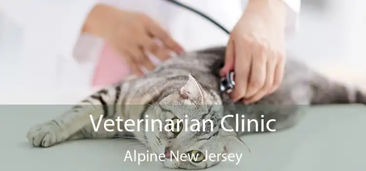 Veterinarian Clinic Alpine New Jersey