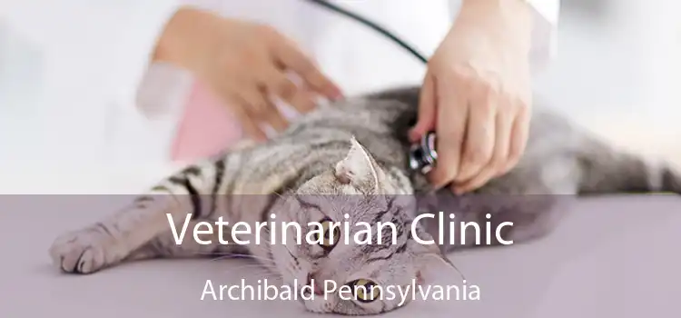 Veterinarian Clinic Archibald Pennsylvania