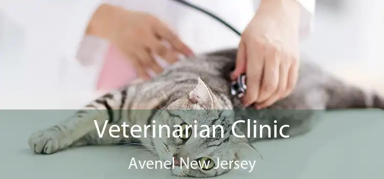 Veterinarian Clinic Avenel New Jersey