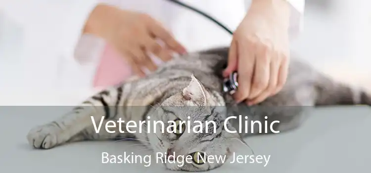 Veterinarian Clinic Basking Ridge New Jersey