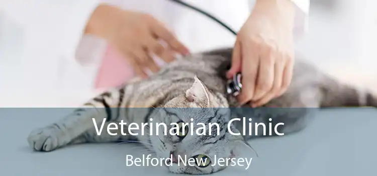 Veterinarian Clinic Belford New Jersey