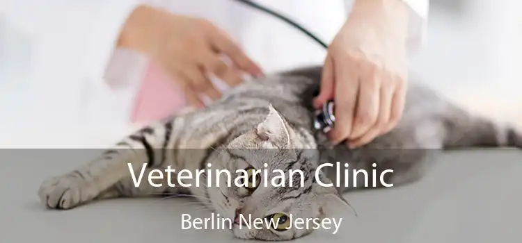 Veterinarian Clinic Berlin New Jersey