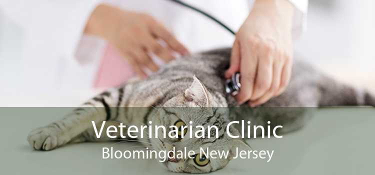 Veterinarian Clinic Bloomingdale New Jersey