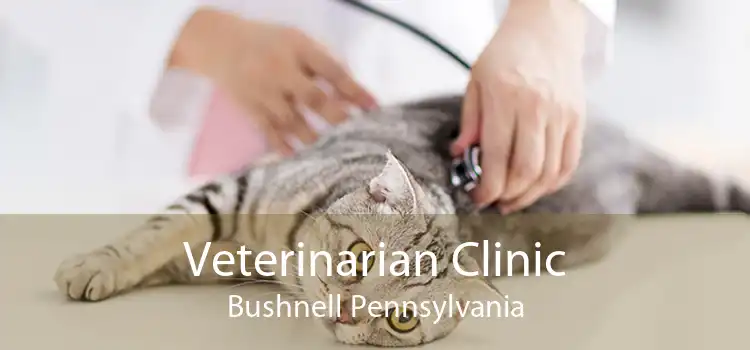 Veterinarian Clinic Bushnell Pennsylvania