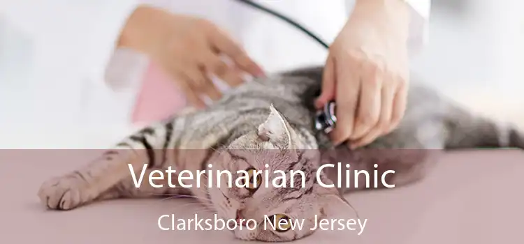 Veterinarian Clinic Clarksboro New Jersey