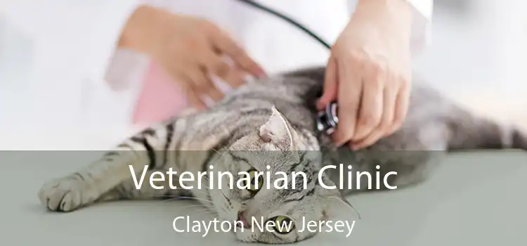 Veterinarian Clinic Clayton New Jersey