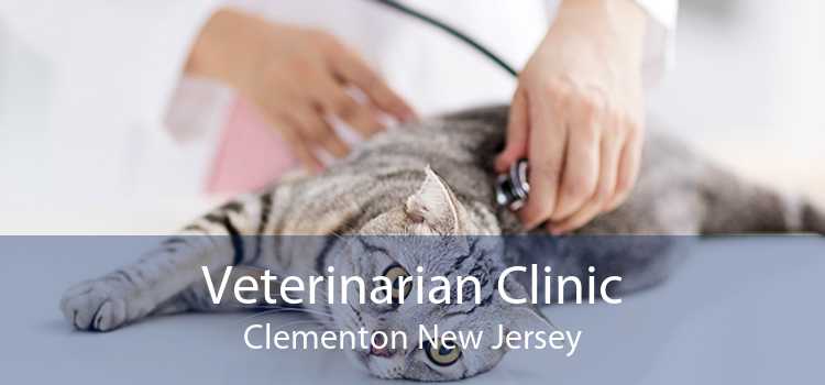 Veterinarian Clinic Clementon New Jersey