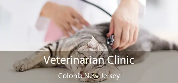 Veterinarian Clinic Colonia New Jersey