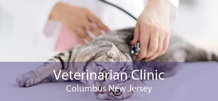 Veterinarian Clinic Columbus New Jersey