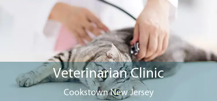 Veterinarian Clinic Cookstown New Jersey