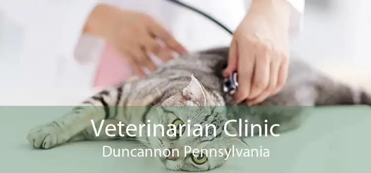 Veterinarian Clinic Duncannon Pennsylvania