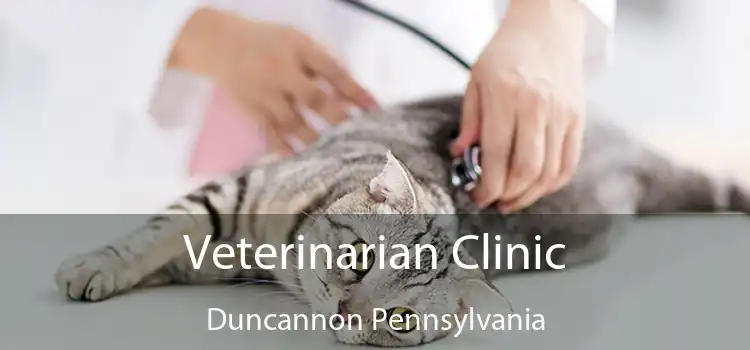 Veterinarian Clinic Duncannon Pennsylvania