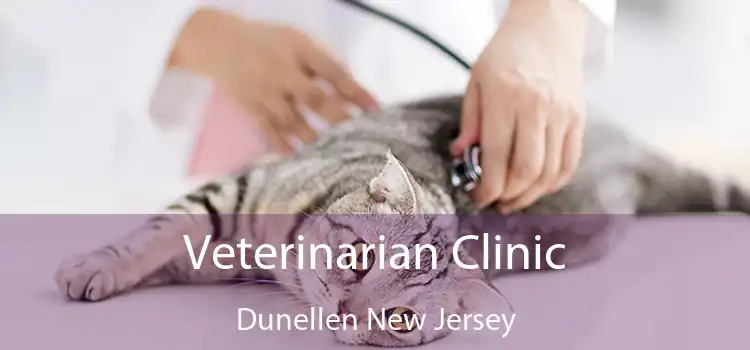 Veterinarian Clinic Dunellen New Jersey