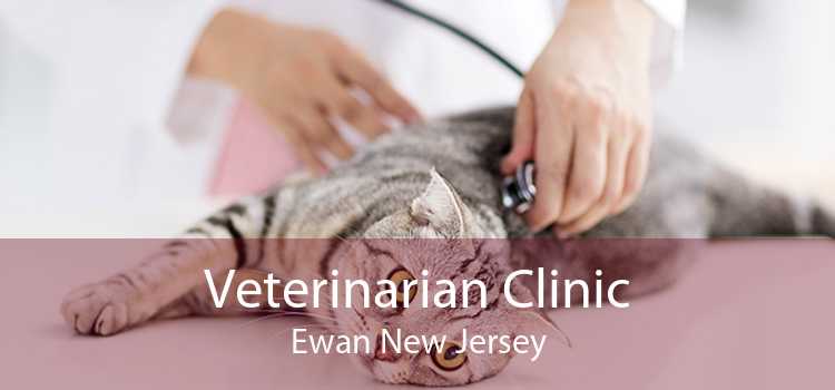Veterinarian Clinic Ewan New Jersey