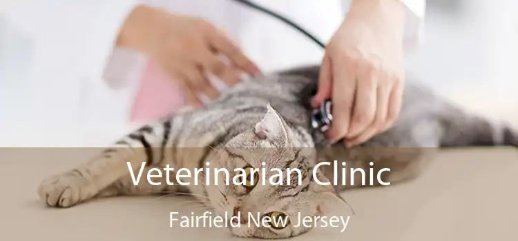 Veterinarian Clinic Fairfield New Jersey