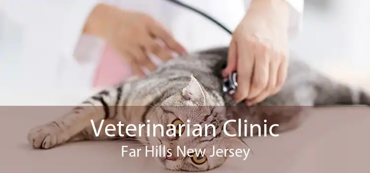 Veterinarian Clinic Far Hills New Jersey